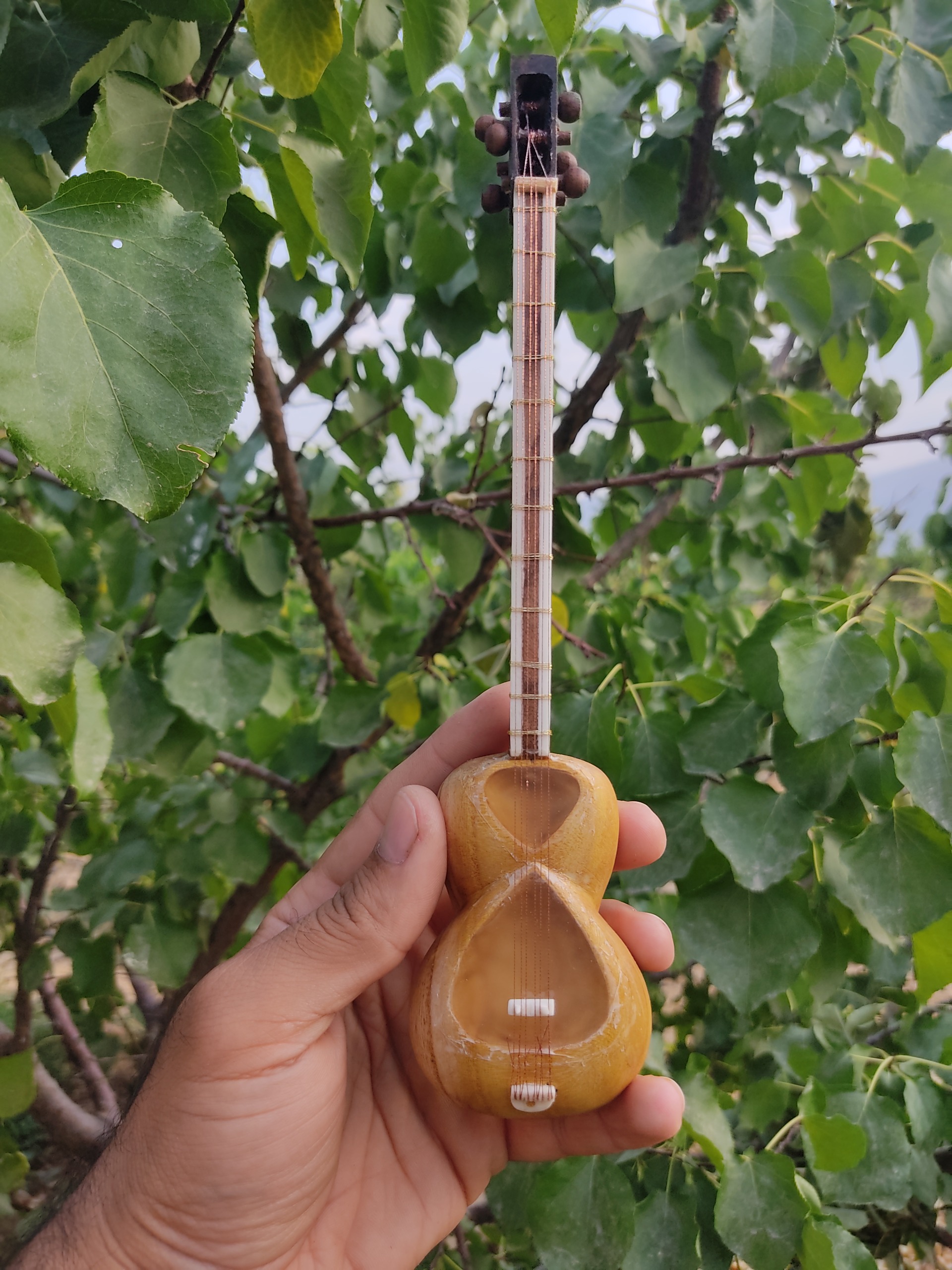 ساز دکوری تار