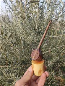ساز