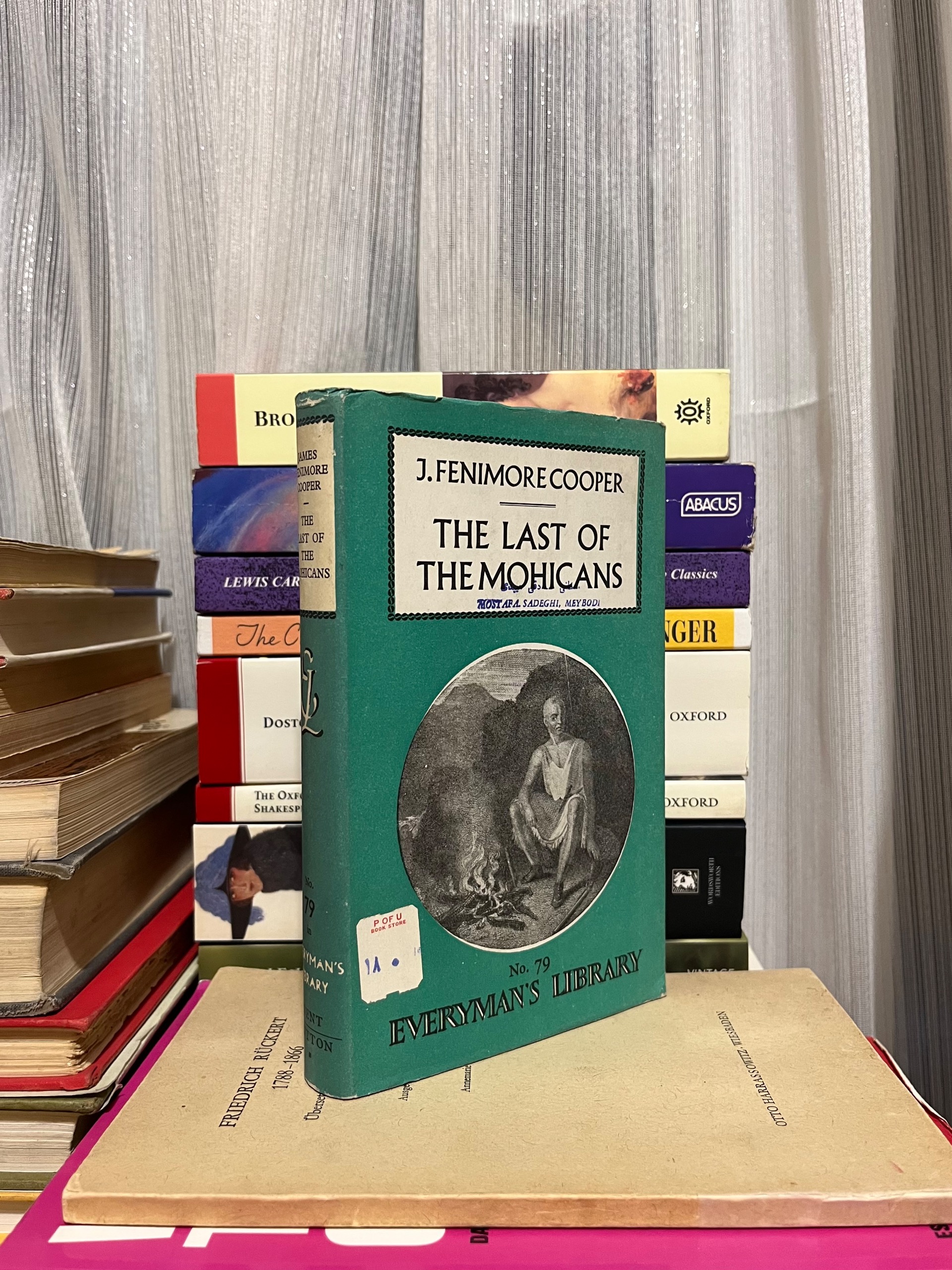 The Last of the Mohicans by Fenimore Cooper