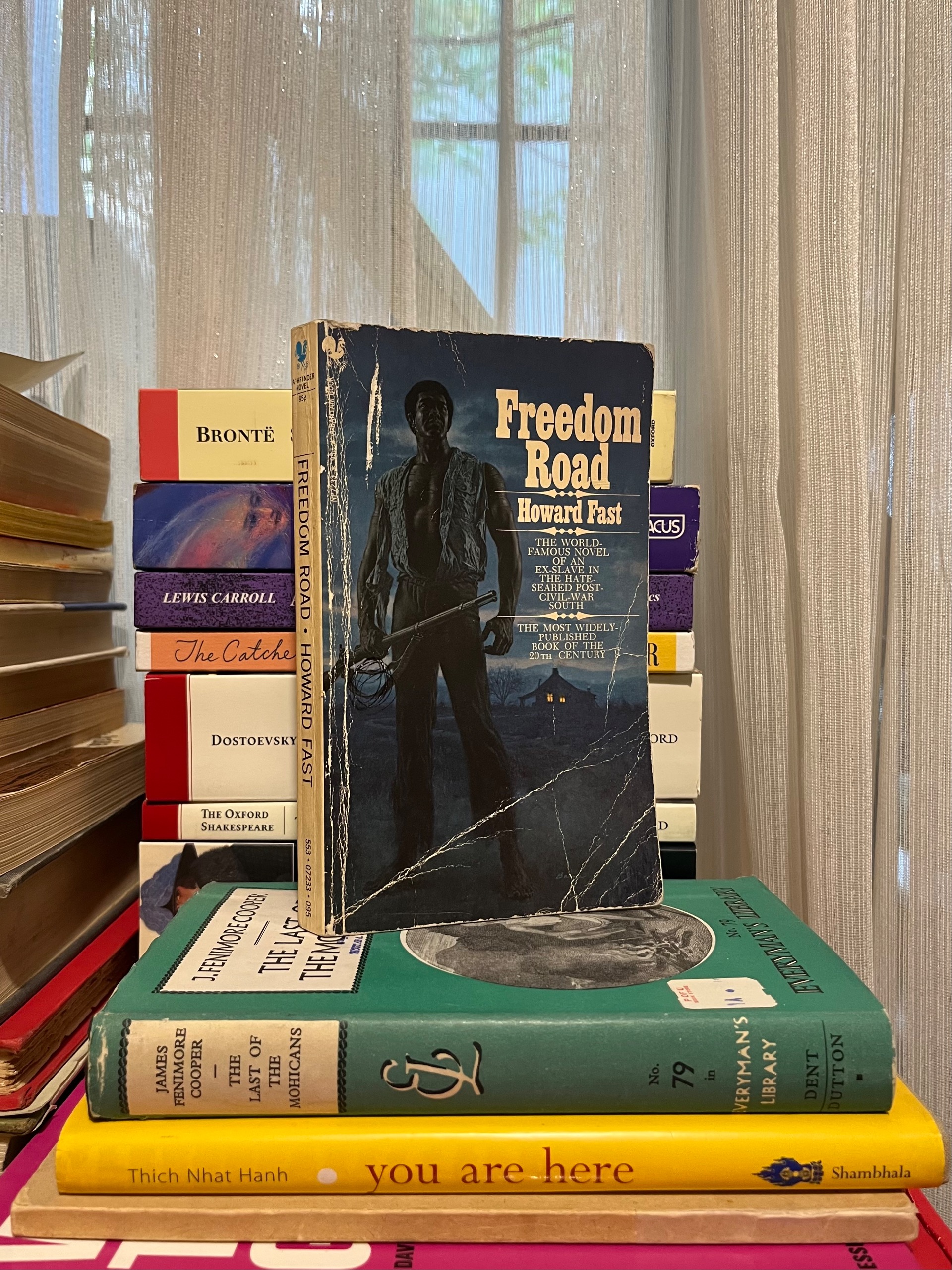 Freedom Road by Howard Fast