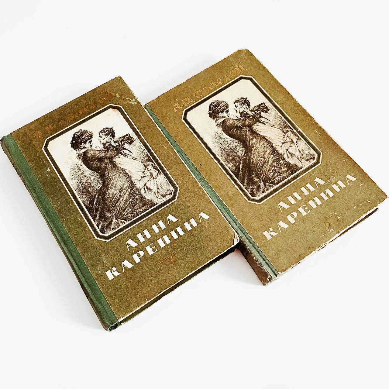 Anna Karenina by Leo Tolstoy آناکارنینا روسی