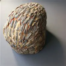 مجسمه