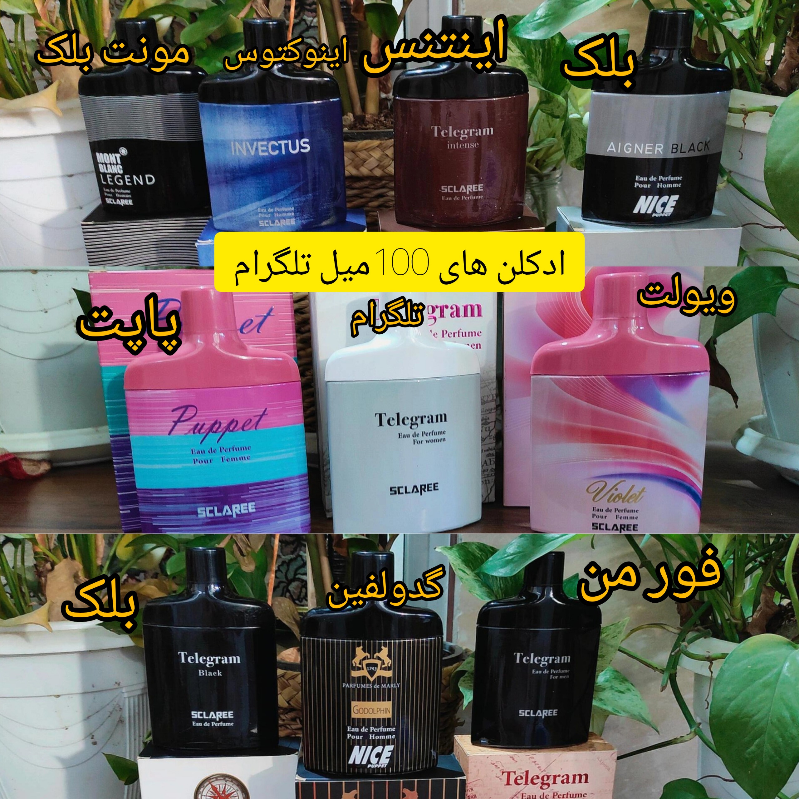 ادکلن اسکلاره تلگرام