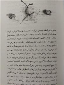 ماجراهای