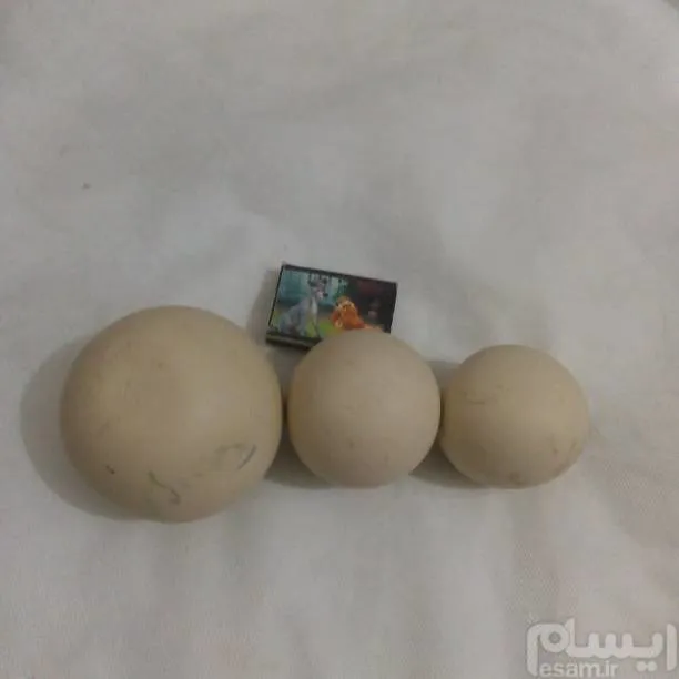 سنگ ساروج توپی از بزرگ به کوچک ست شده کهنه اصل زیر