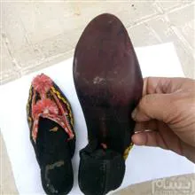 کفش