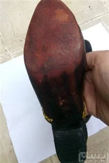 کفش