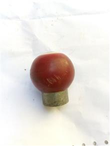 سردنده