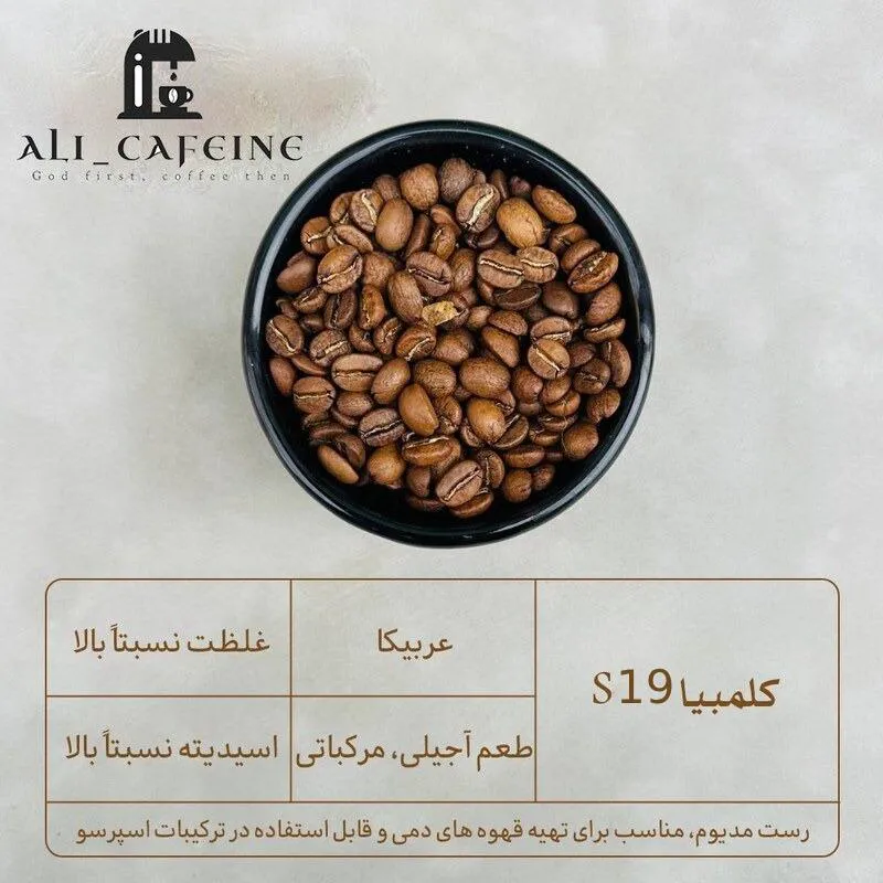 قهوه عربیکا کلمبیا کتورا S19 بهترین نوع بازار