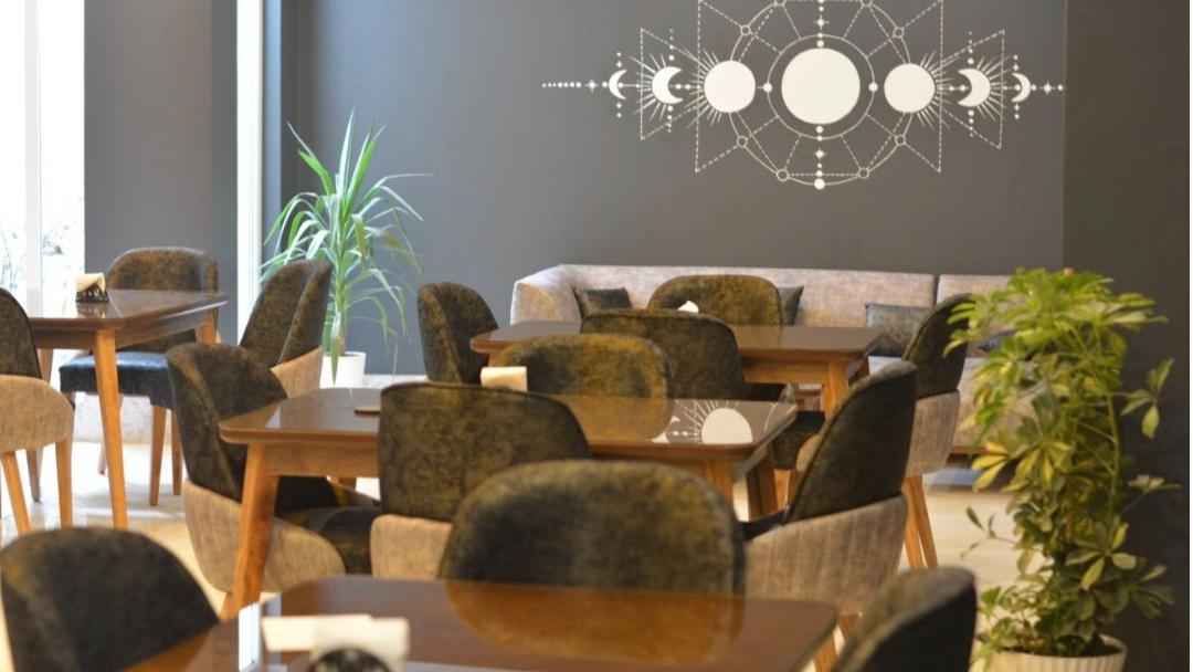 میز و صندلی چوب راش 32 نفره مناسب رستوران و کافه