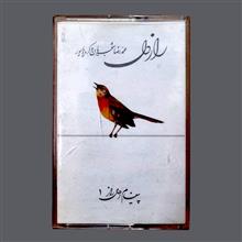 کاست
