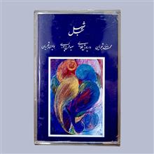 کاست