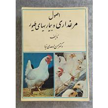اصول