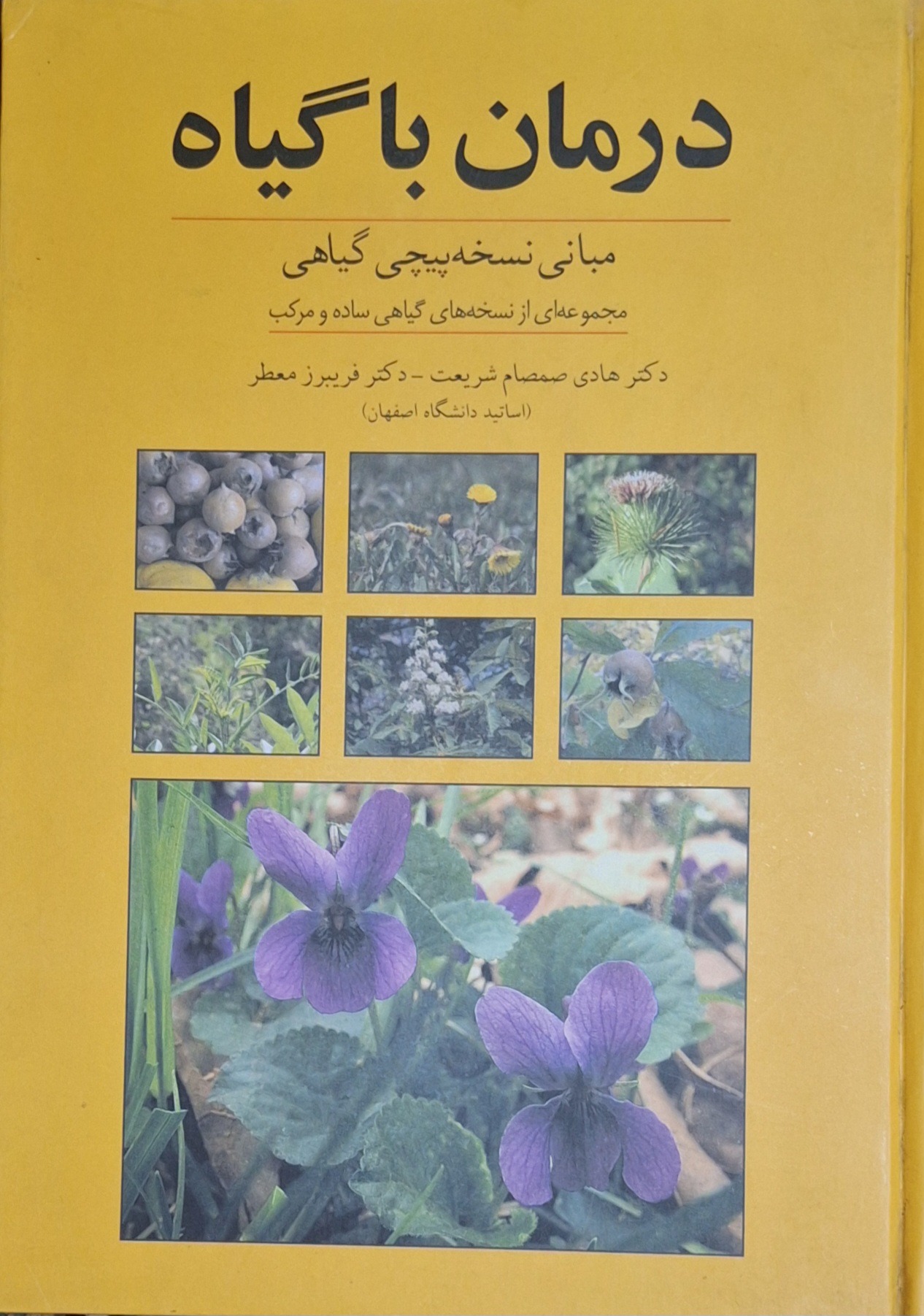 درمان با گیاه/نسخه های گیاهی ساده و مرکب