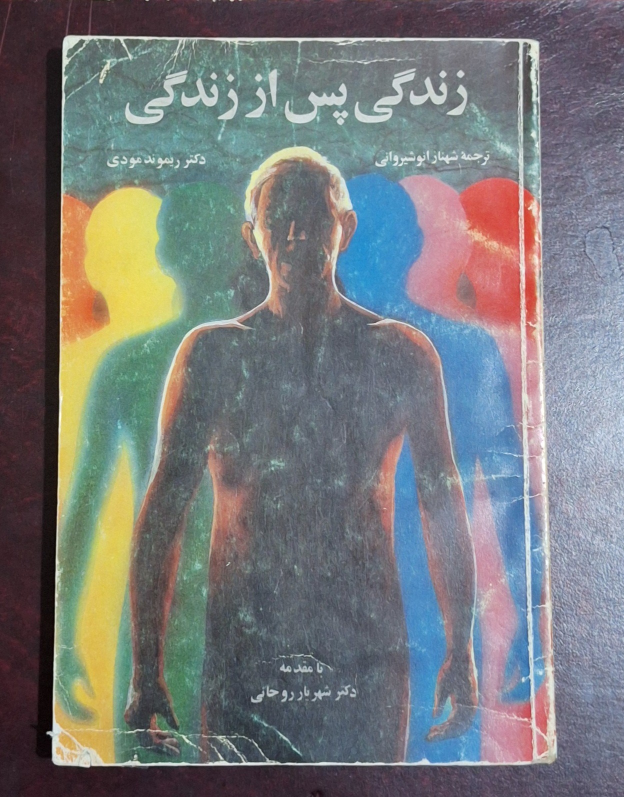 زندگی پس از زندگی/ریموند مودی/شهناز انوشیروانی