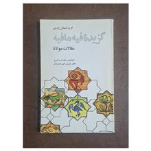 گزیده