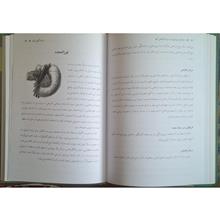 شناخت