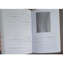 راهنمای