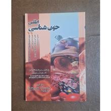 اطلس