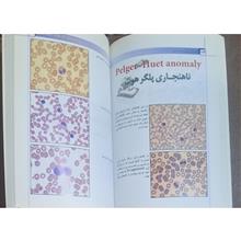اطلس
