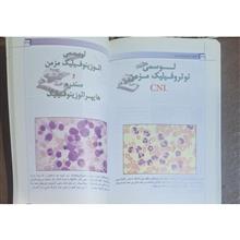 اطلس