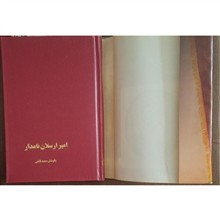 امیر