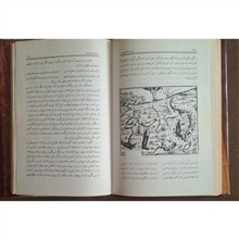 امیر