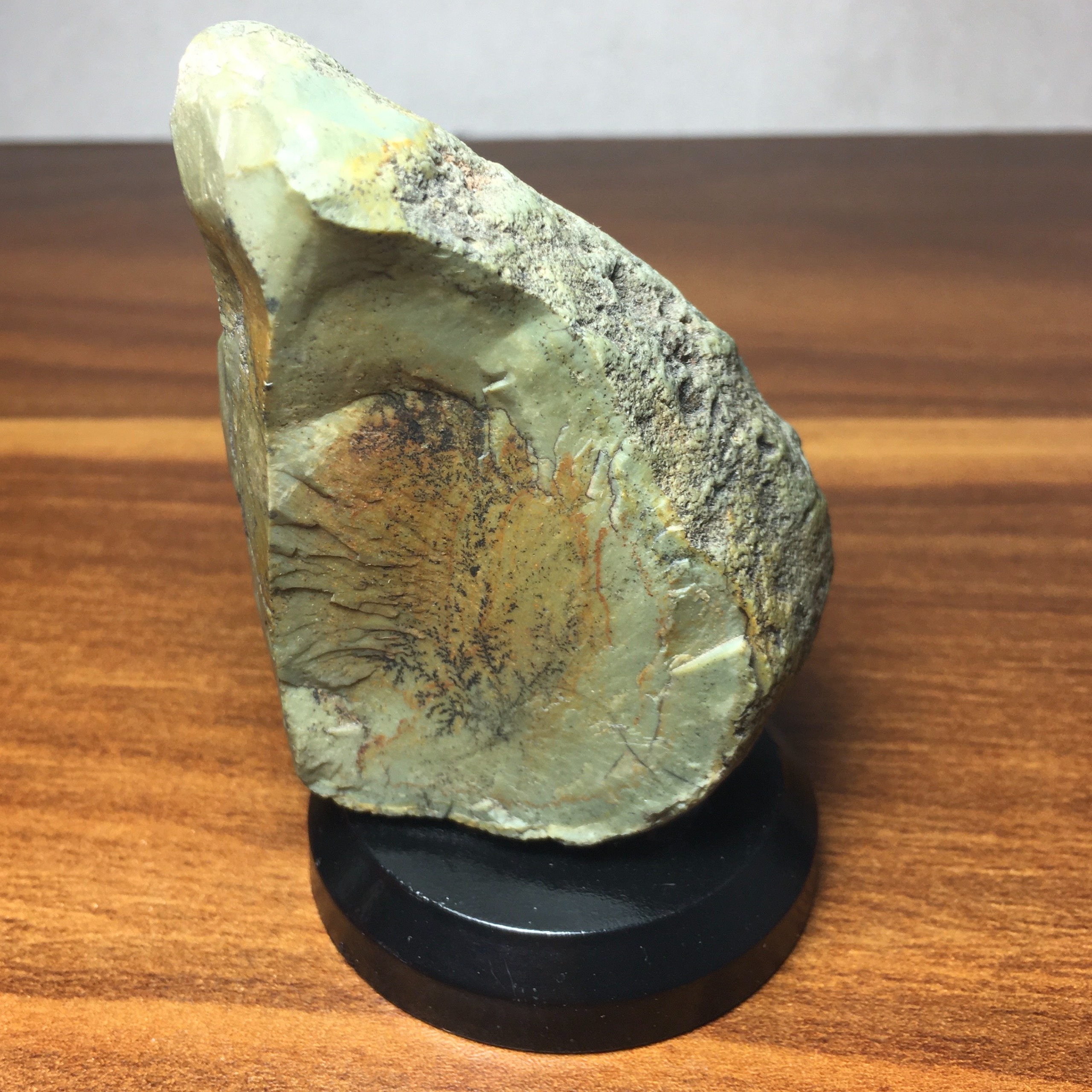 سنگ شجر دندریت کلکسیونی (Dendrite)