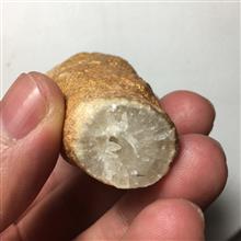 استالاکتیت