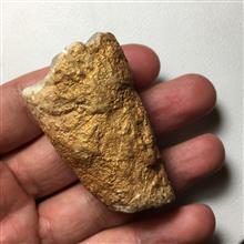 استالاکتیت