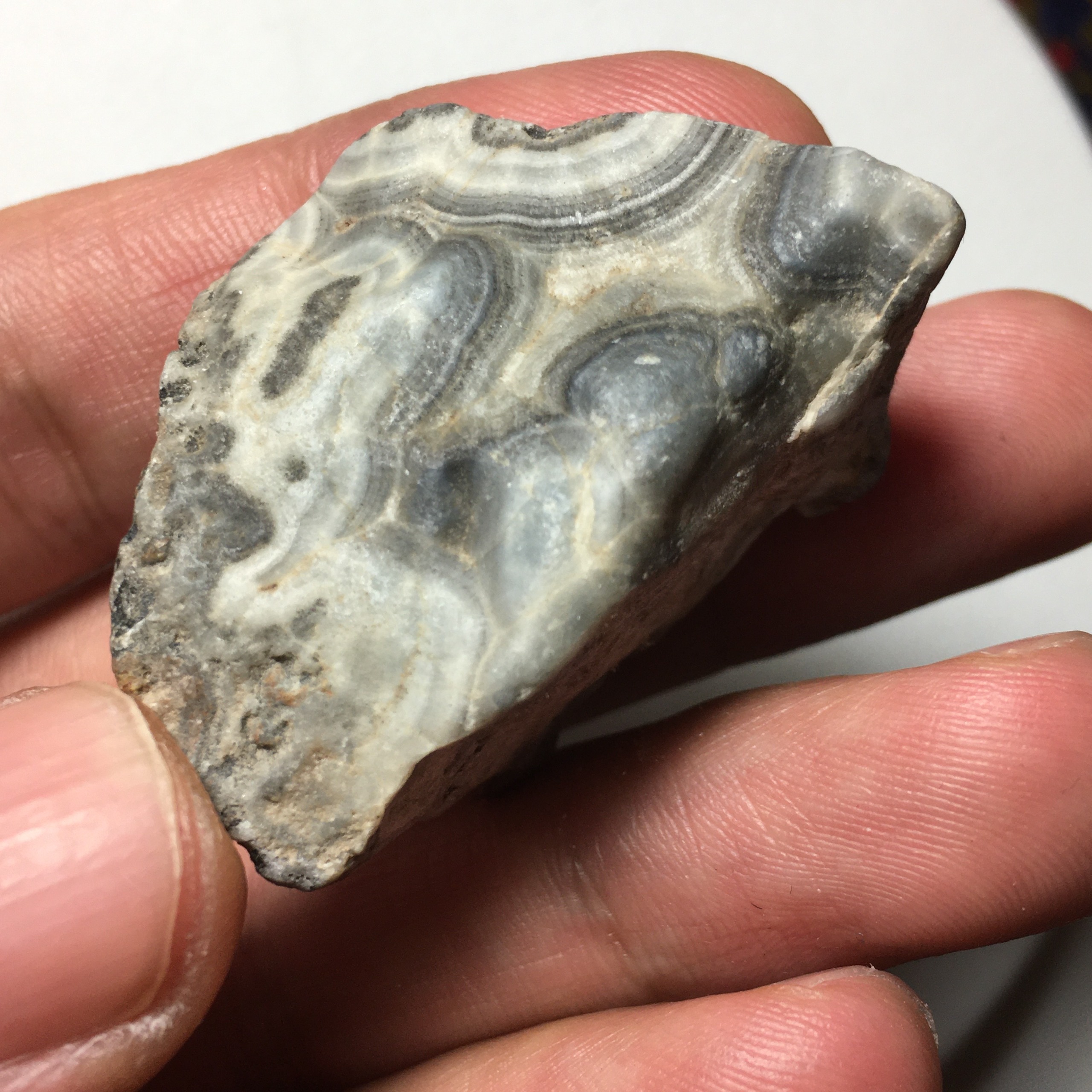 عقیق نواری دندریتی با بخش هم مرکز و رگه کلسیتی