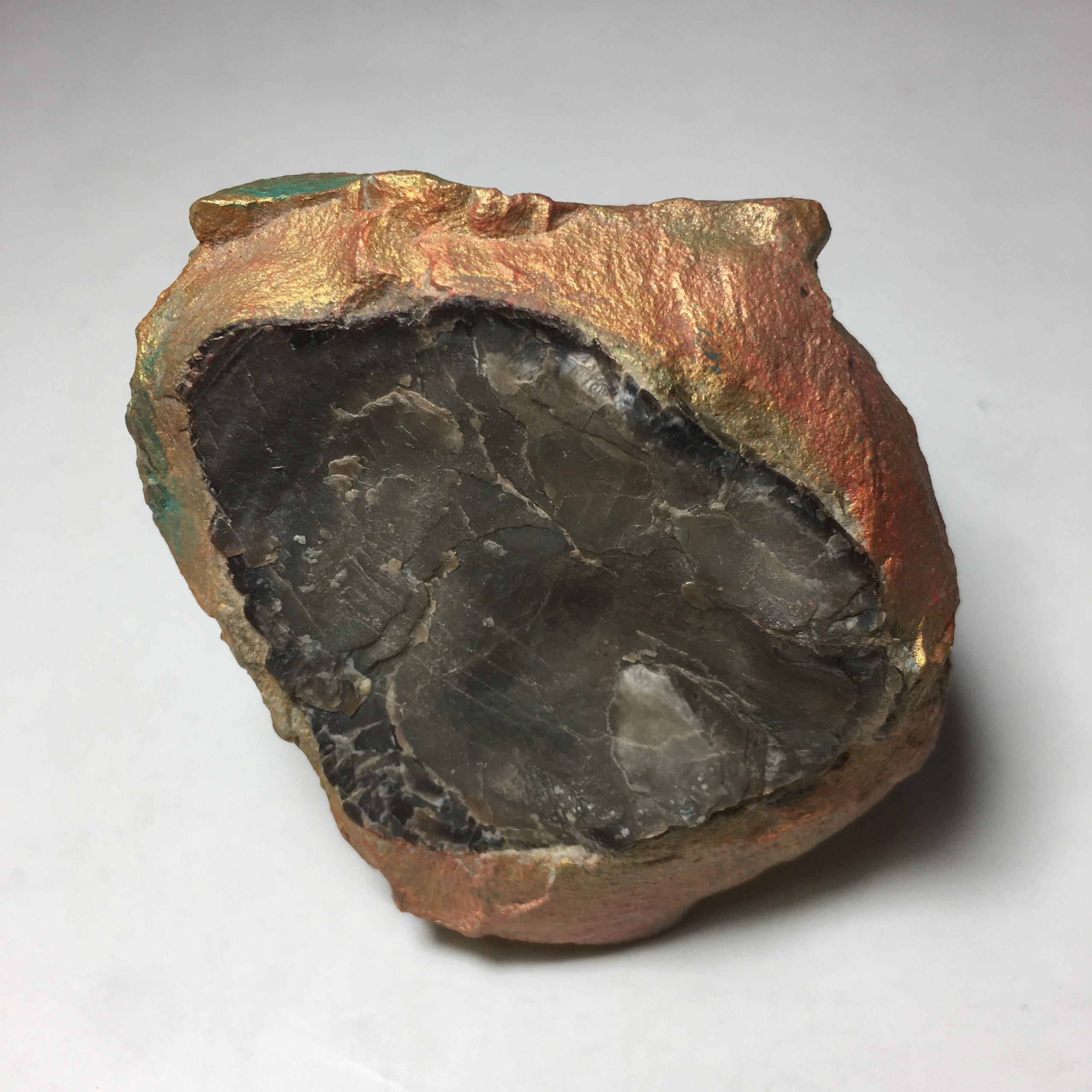 فسیل جانوری کلکسیونی