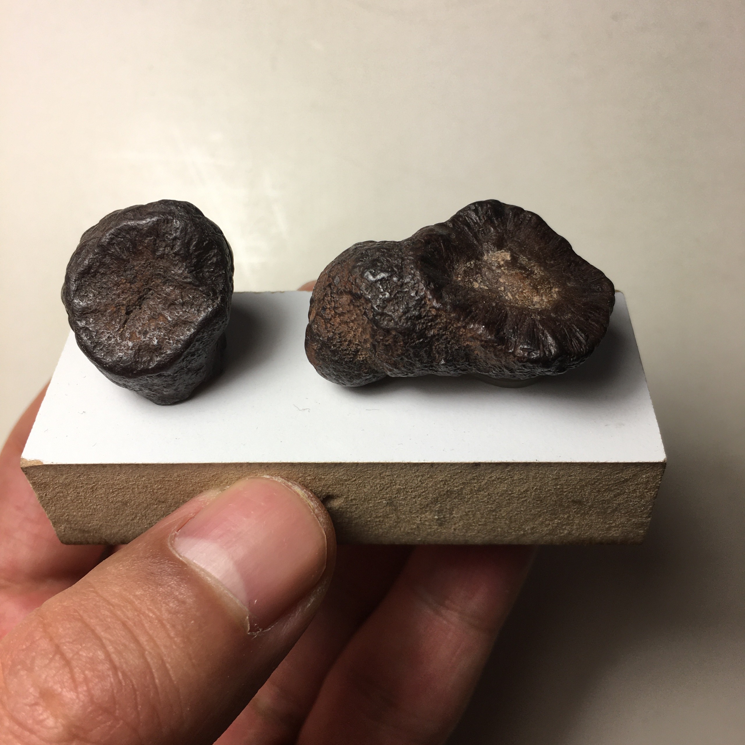 سنگ معدنی آهن طبیعی 2 عددی با پایه چوبی