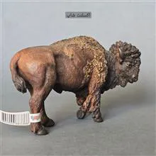 فیگور