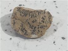 تعدادی