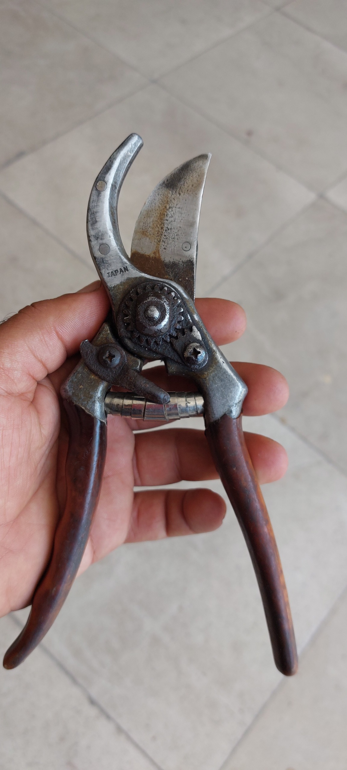 قیچی باغبانی ژاپنی