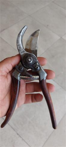 قیچی
