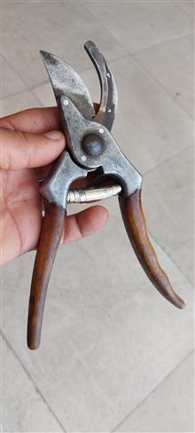 قیچی