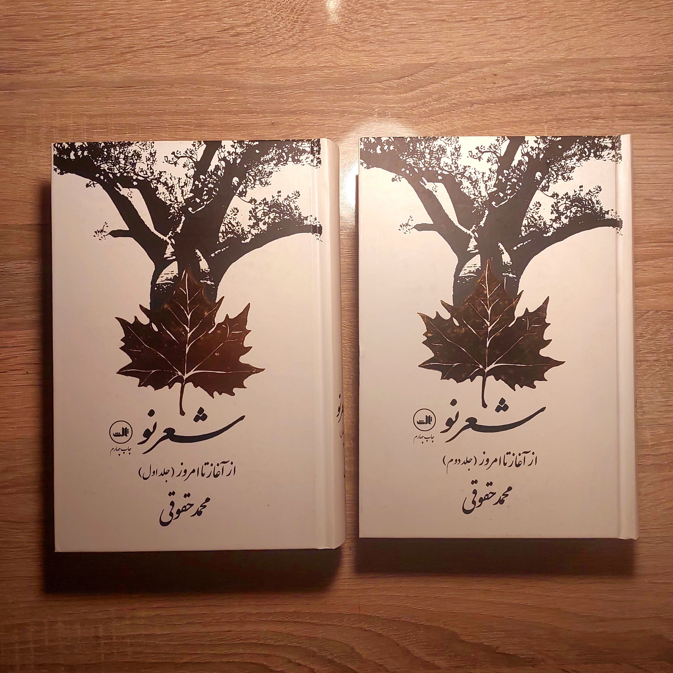 شعر نو از آغاز تا امروز / محمد حقوقی