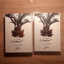 شعر
