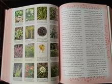 دایره