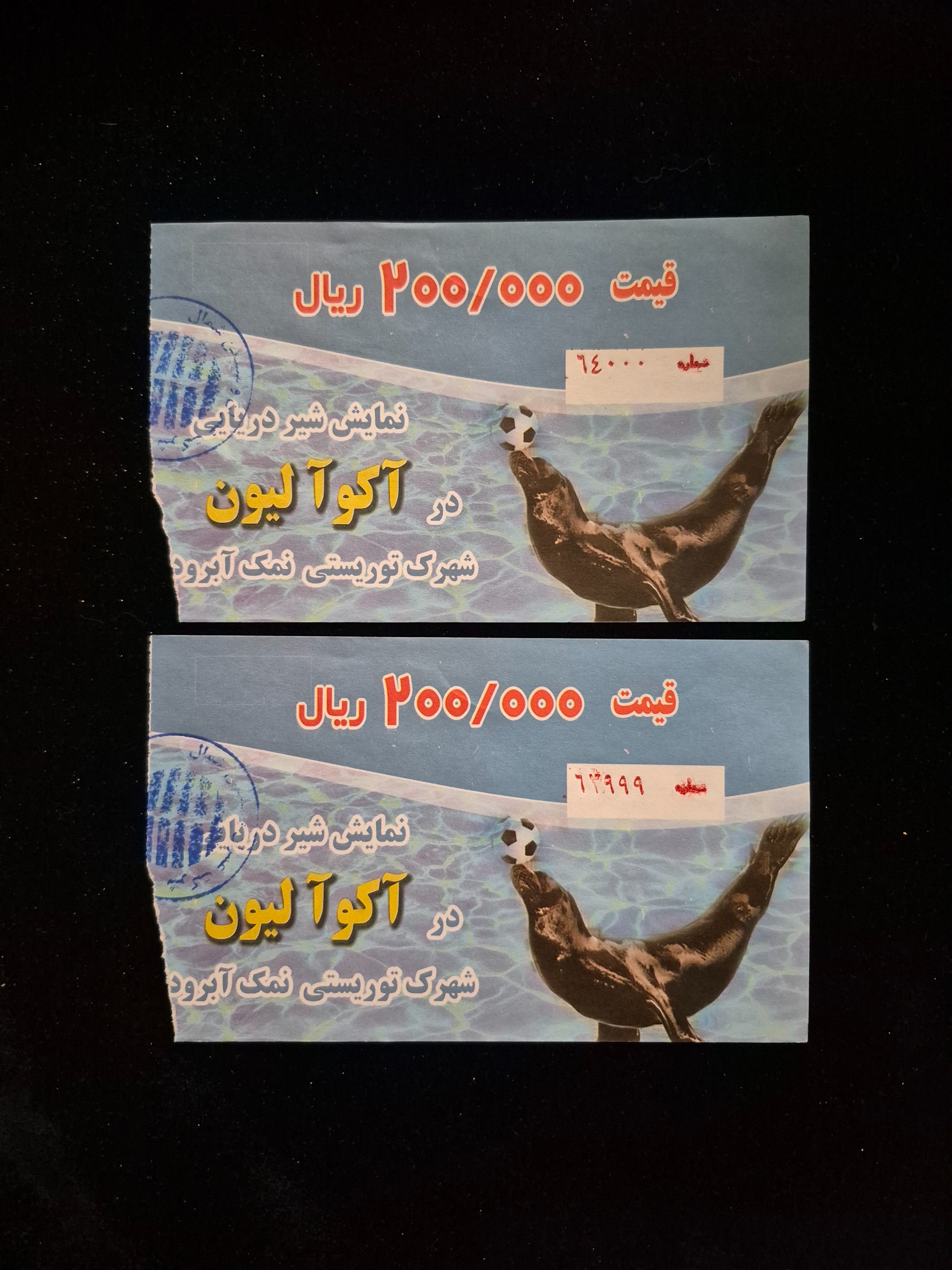 بلیط نمایش شیر دریایی نمک آبرود