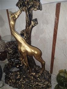 کنار