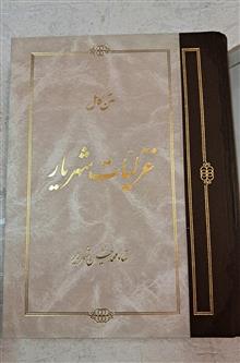 متن