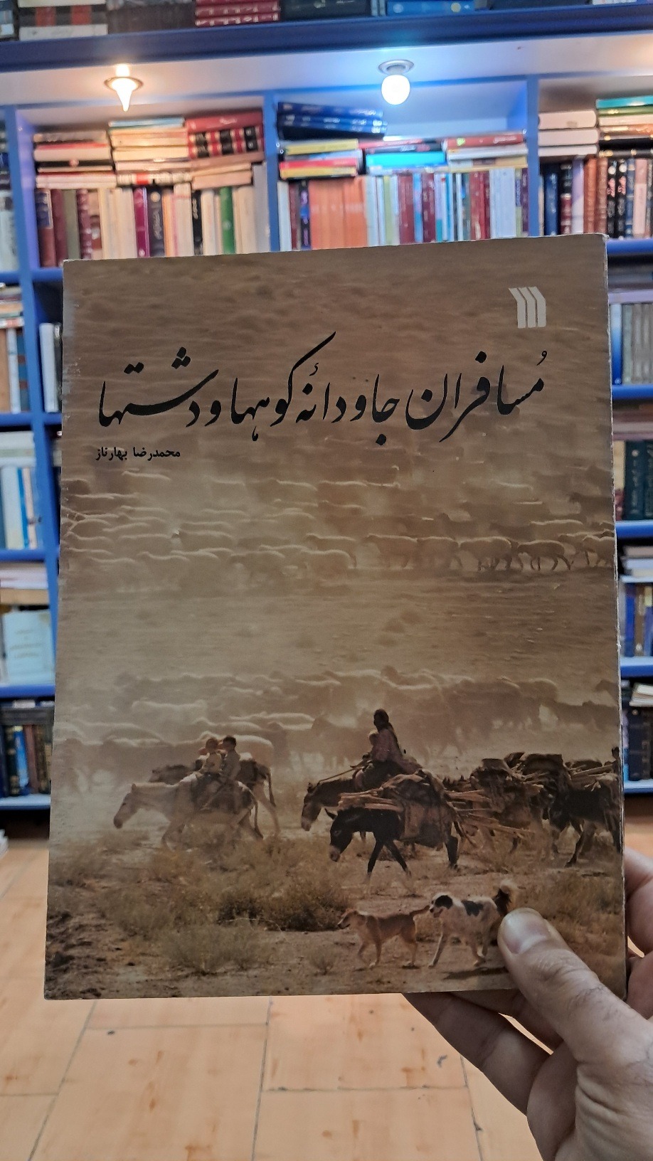 مسافران جاودانه کوهها و دشتها