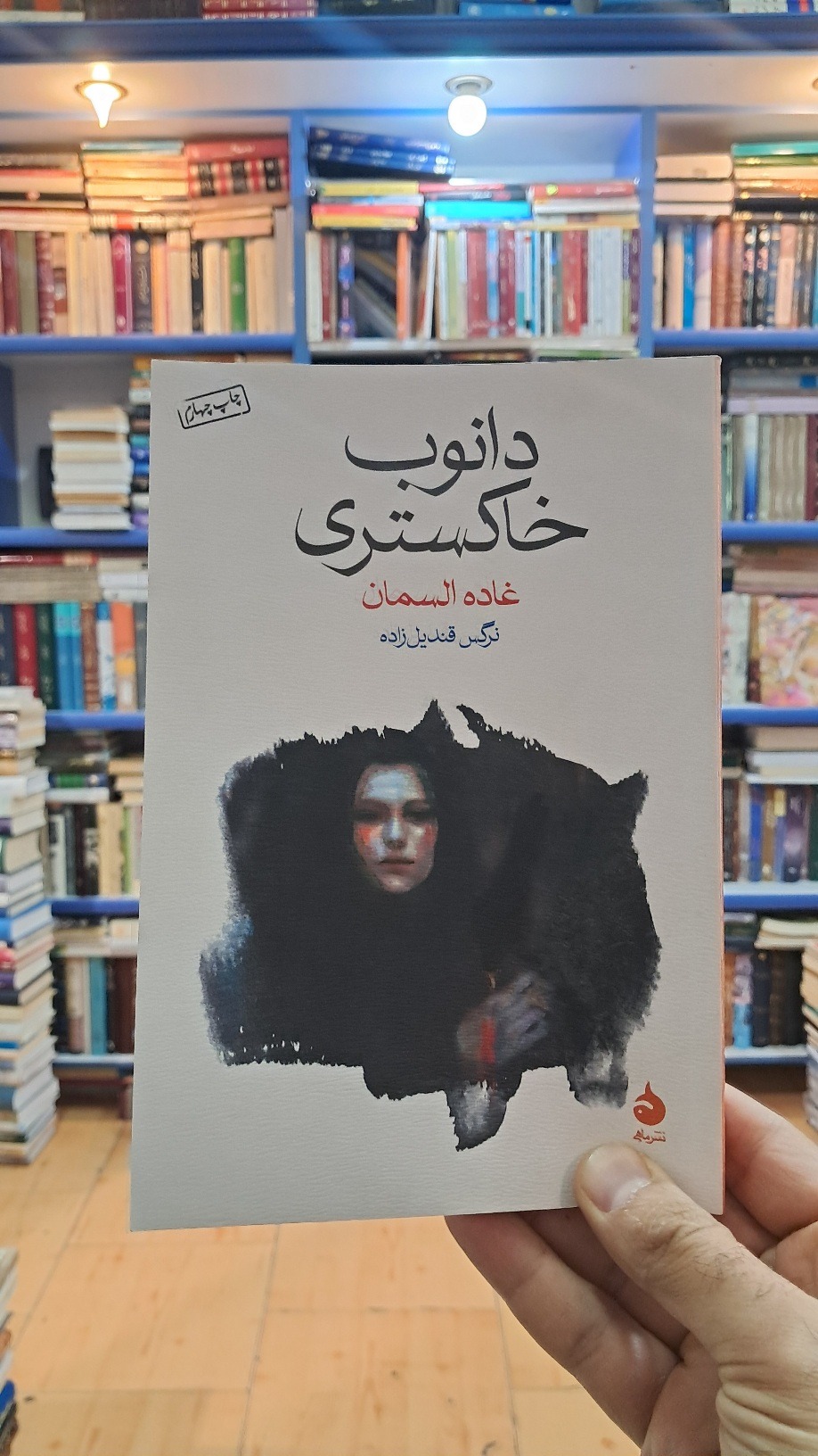 رمان دانوب خاکستری