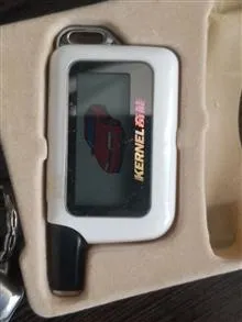 ریموت