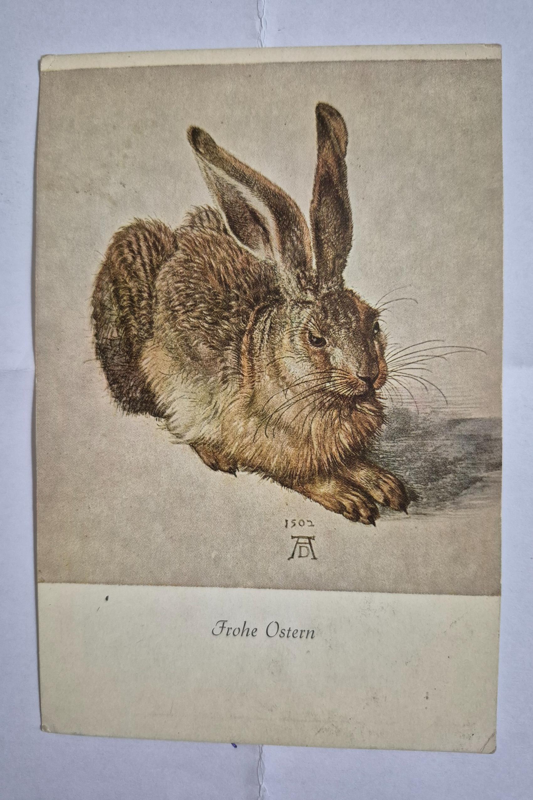 کارت پستال تصویر خرگوش