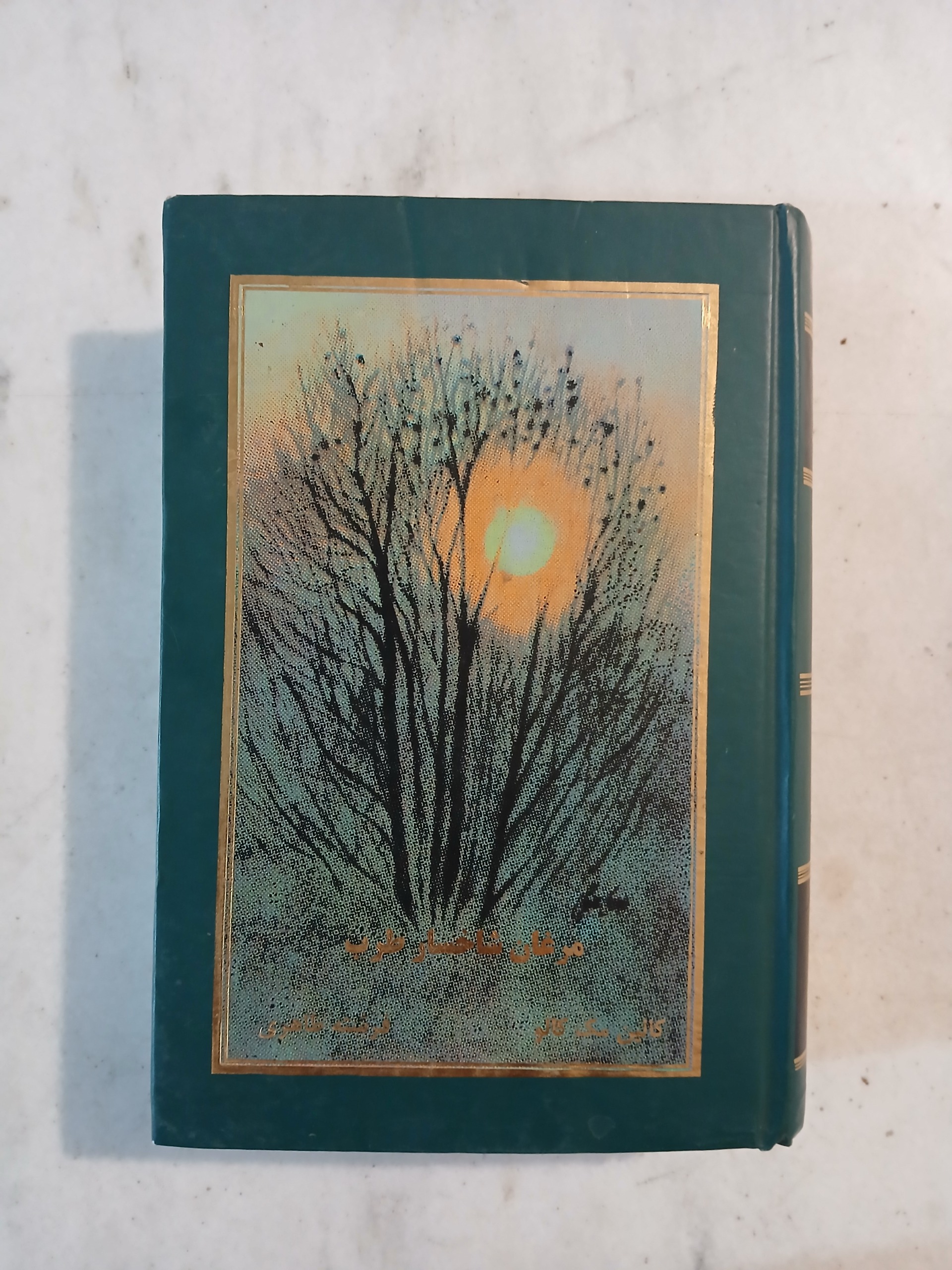 مرغان شاخسار طرب (پرنده خارزار) / کالین مک کالو