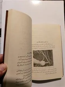 پرورش